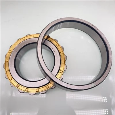 Bearings tal-rombli ċilindriċi LRJ3